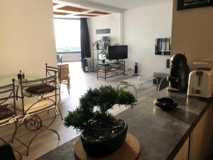 Unique appartement standing 70m2 !entre lagune port animé et à 2mn de la plage