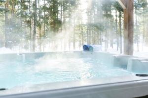 TREMBLANT LAC - SPA - BILLARD - FOYER -Golf- SKI