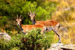 Casa Rural La Tahona