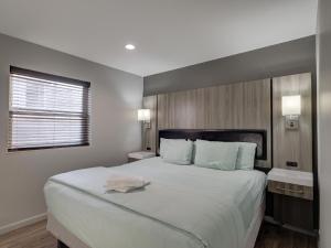Two-Bedroom Apartment room in Maplewood Place