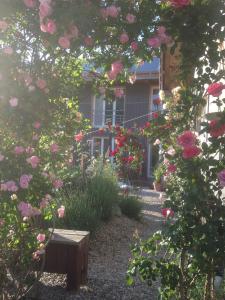 Apartment Schellenberg 20