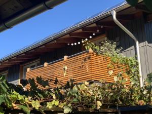 Apartment Schellenberg 20