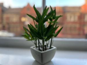 Great offers on Long Stays!! LaLuNa Apartments