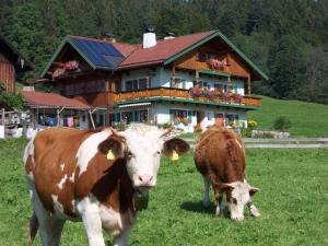 Staufenblick roof studio in the house