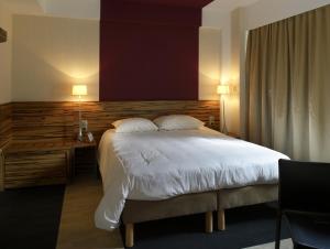 Hotels Kyriad Montbeliard Sochaux : photos des chambres