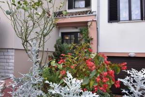 Apartments with parking space Umag - 22659