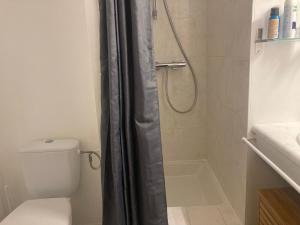 Appartement duplex face mer avec piscine, quartier Golf, 2 chambres, 2 salles deau, parking privé - FR-1-323-513