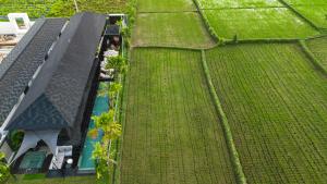 Villa Black Pearl by BaliSuperHost