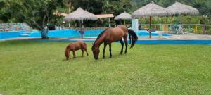 Cabaña rodeada de naturaleza