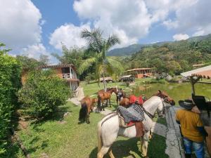 Cabaña rodeada de naturaleza