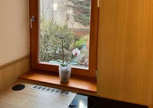 Downtown peace apartment (BALCONY,AC,PARKING)