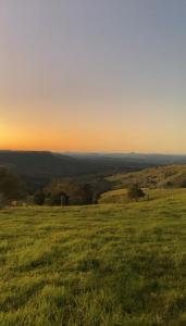 Flame Hill Vineyard