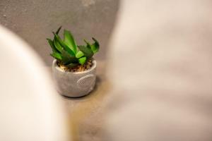 Luxury Ultra Central