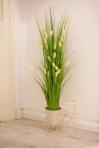 Luxury Ultra Central