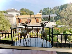 Brigadier Farm Stay Sunset Room