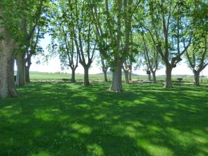 Maisons de vacances Le Domaine de Laforest : photos des chambres