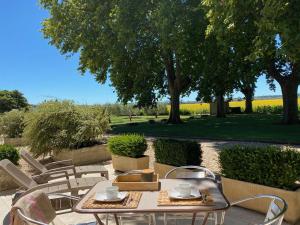 Maisons de vacances Le Domaine de Laforest : photos des chambres