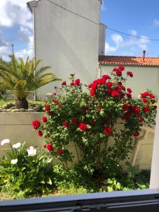 Sejours chez l'habitant La Sirene : photos des chambres