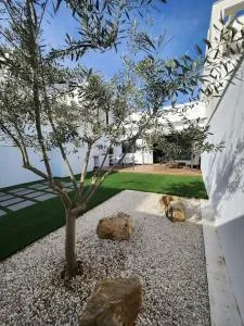 the butterfly house - Playa Pobla de Farnals