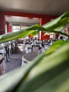 Hotels Alexain Hotel Restaurant & Wellness - Colmar Ouest : photos des chambres