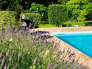 Appartements Gite Studio Les Oliviers : photos des chambres