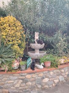 Hébergements à La Rive, Accueil ouvert tous les jours jusquà 20h00 dernier délai, depuis 30 ans ! Réserver ici svp ! Merci ! Aucun règlement à distance accepté, Paiement par CB, Espèces, Chèque ou Chèques-Vacances impérativement à la rem