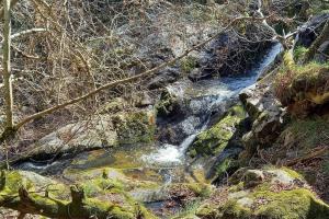Une pause Champêtre : gîte avec terrasse