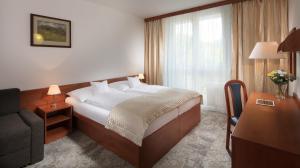 Double or Twin Room room in Clarion Hotel Špindlerův Mlýn