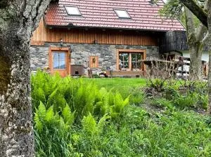 Traditional Slovenian house - Vransko