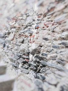 Appartements Residence St Vincent : photos des chambres
