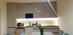 Smichov city Apartments