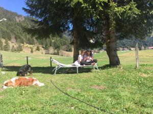 Ferienhof Wäldle - Wäldle 1 und Wäldle 2 mit Motorradvermietung