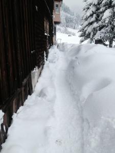 Ferienhof Wäldle - Wäldle 1 und Wäldle 2 mit Motorradvermietung