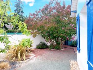 Maisons de vacances Maison du centre, charme & ocean : photos des chambres