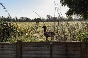 3bd Family Beach Retreat in West Wittering
