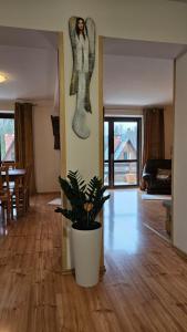 SIEDLISKO HARENDA BIESZCZADY