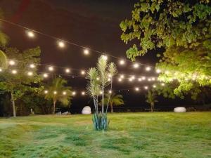 Oslob Seacoast Resort