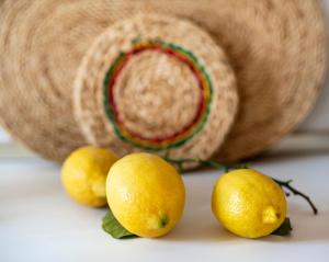 Agriturismo Sesta Presa