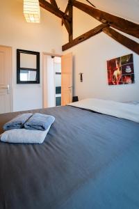 Appartements Le duplex de Lise : photos des chambres