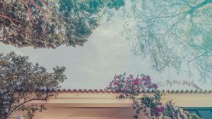 Pine House - Faro Airport, Beach and City Center