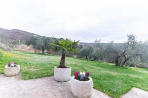 Apartment Nonna Laura