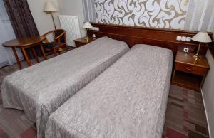 Twin Room with Bath room in Arany Bárány Hotel