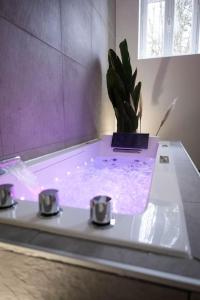 Appartements Le secret d'Ondine - Centre ville : photos des chambres