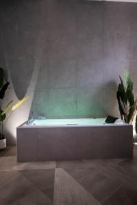 Appartements Le secret d'Ondine - Centre ville : photos des chambres