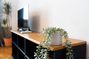 Central Living Apartment Opera