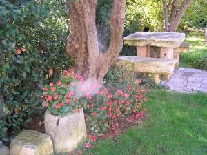 Apartments Paloma blanca 1