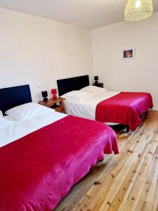 Le Chardon Bleu, jardin, centre-ville, Saint-Côme-dOlt