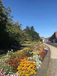 Galashiels, Scottish Borders, One Double Bed