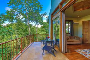 Rainforest Estate