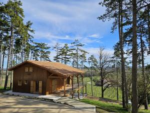 Le cottage des pins chalet sur les vignes
